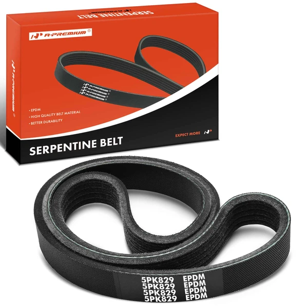 32.64 inch Serpentine Belt for 1994 Jaguar XJS