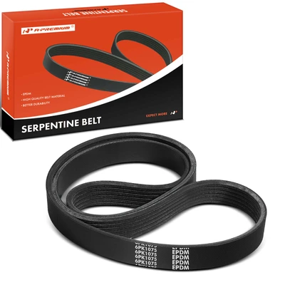 42.3 inch Serpentine Belt