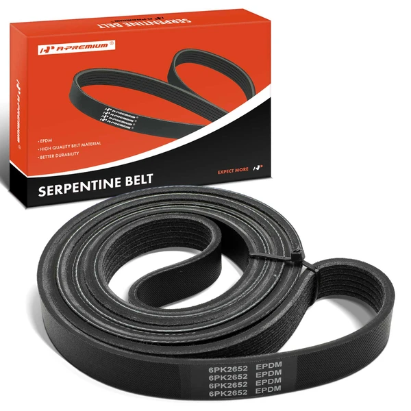 104.4 inch Serpentine Belt for 2023 Freightliner MT45