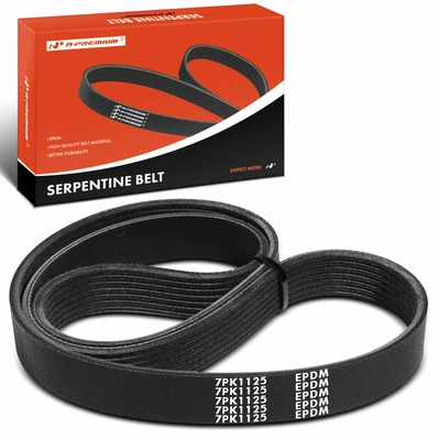 44.3 inch Serpentine Belt