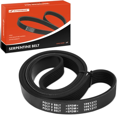 54.21 inch Serpentine Belt