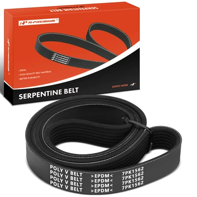 61.51 inch Serpentine Belt