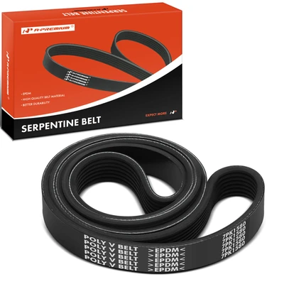 62.2 inch Serpentine Belt