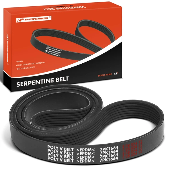 65.5 inch Serpentine Belt for BMW X5 E70 2007-2010 V8 4.8L GAS Naturally Aspirated