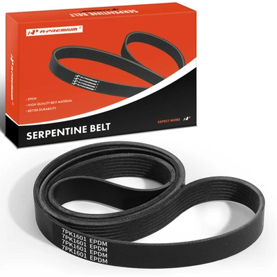 63.04 inch Serpentine Belt