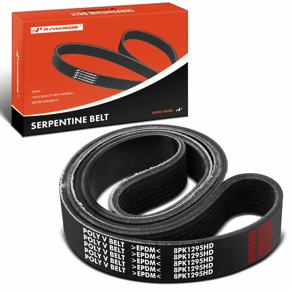 50.95 inch Heavy Duty Serpentine Belt for Volvo WX Blue Bird TC2000 White GMC WXR