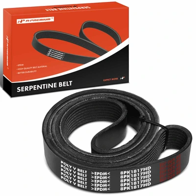 71.53 inch Heavy Duty Serpentine Belt
