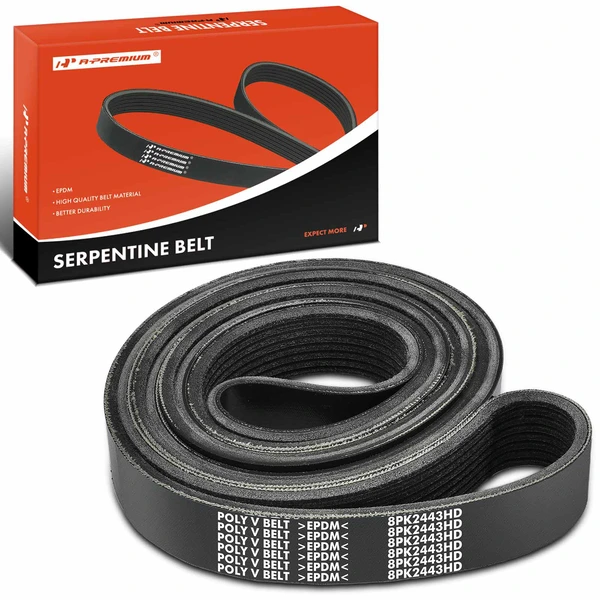 96.2 inch Heavy Duty Serpentine Belt for 2010-2011 IC Corporation CE School Bus