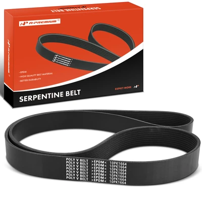 65.5 Inch Serpentine Belt
