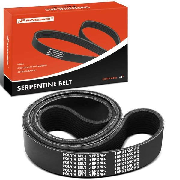 64.97 inch Heavy Duty Serpentine Belt for Western Star 4900SA 2018 981792 3819398