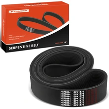 73.8 inch Serpentine Belt