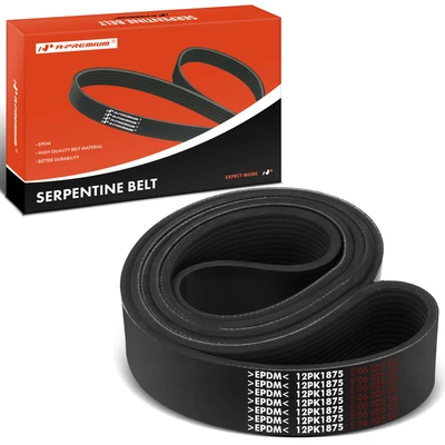 73.8 inch Serpentine Belt