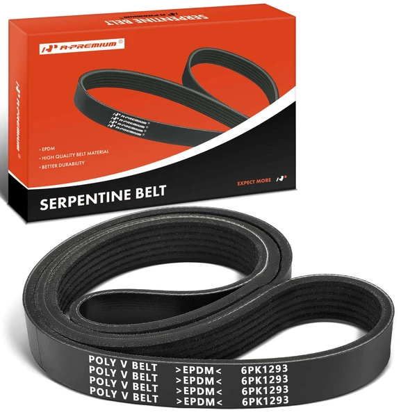 50.95 Inch Serpentine Belt for 2007 IC Corporation RE School Bus