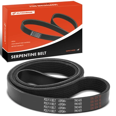 56.5 Inch Serpentine Belt