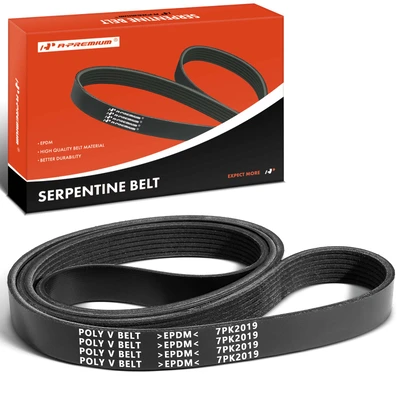 79.5 Inch Serpentine Belt