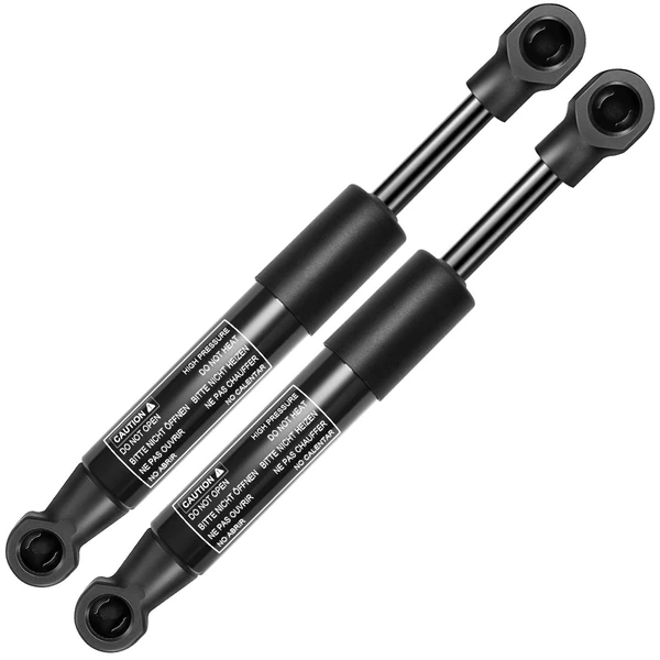 2 Pcs Rear Tailgate Lift Supports Shock Struts for Chrysler Crossfire 2005-2008
