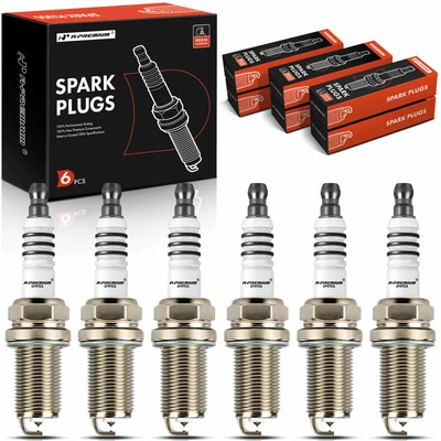 6 Pcs Iridium & Platinum Spark Plugs
