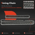 10 Pcs Engine Timing Chain Kit for 2007 Nissan Sentra 2.0L l4