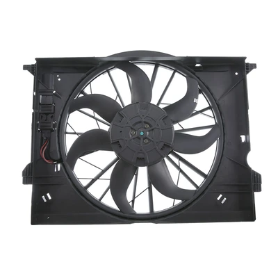 Radiator Cooling Fan Assembly