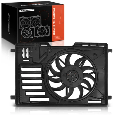 Radiator Cooling Fan Assembly with Shroud