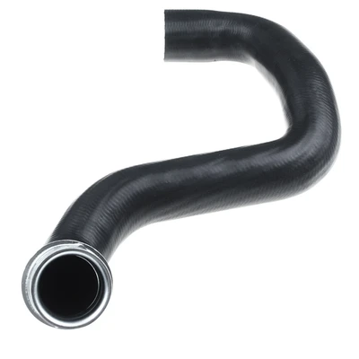 Lower Radiator Coolant Hose