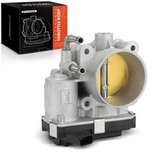 Fuel Injection Throttle Body