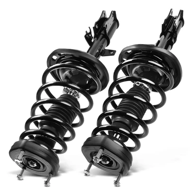 2 Pcs Rear Complete Strut & Coil Spring Assembly