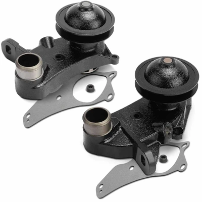 2 Pcs Driver & Passenger Water Pump