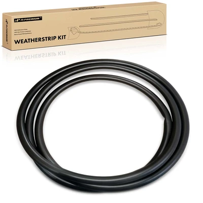 Rear Driver or Passenger Door Weatherstrip Seal