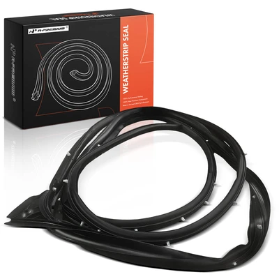 Front Driver Glass Weatherstrip Seal