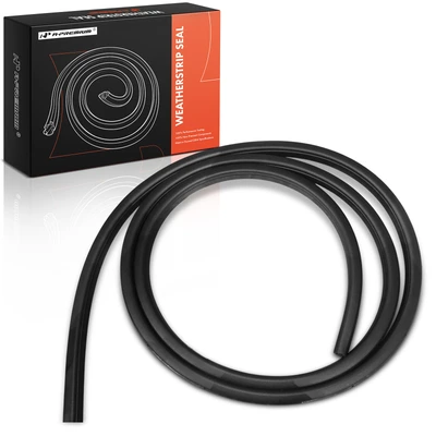 Rear Driver Door Weatherstrip Seal