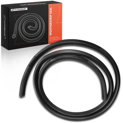 Rear Driver Door Weatherstrip Seal