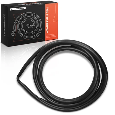 Rear Driver Inner Weatherstrip Seal