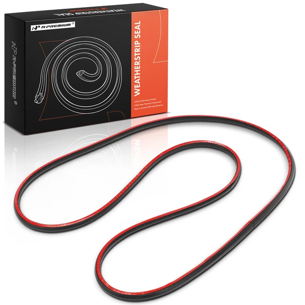 Front Driver Door Window Seal for BMW 320i 2001-2005 323i 325xi 328i 330xi