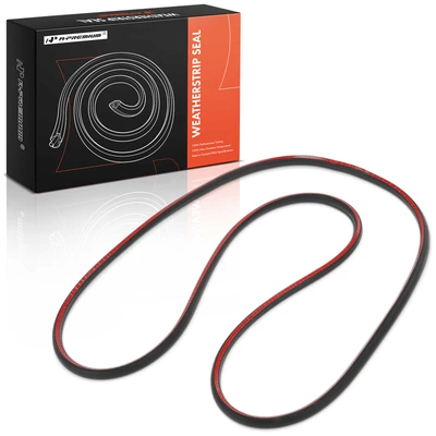 Front Passenger Door Window Seal