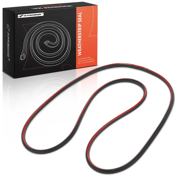 Front Passenger Door Window Seal for BMW 320i 2001-2005 323i 325xi 328i 330xi