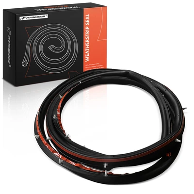 Front Driver Door Weatherstrip Seal