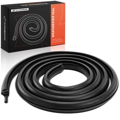 Rear Driver or Passenger Door Weatherstrip Seal