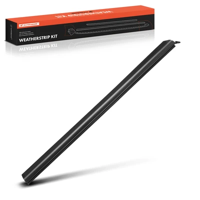 Front Driver Outer Window Weatherstrip Seal