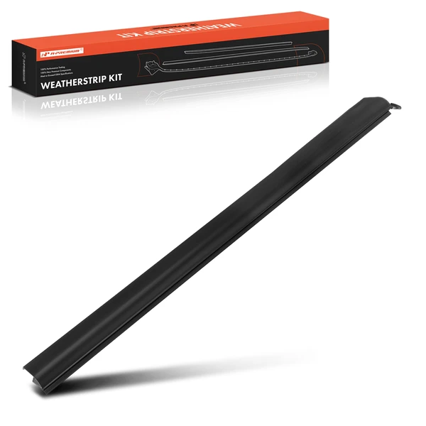 Front Passenger Outer Window Belt Weatherstripping Seal for 1999-2011 Ford Ranger