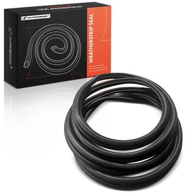 Rear Driver or Passenger Door Weatherstrip Seal