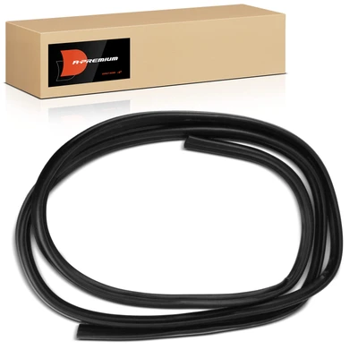 Driver or Passenger Door Glass Weatherstrip Seal
