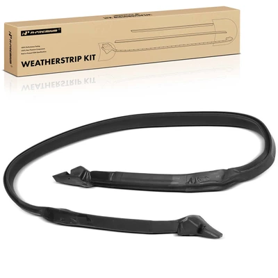 Rear Roof Panel Weatherstrip Seal