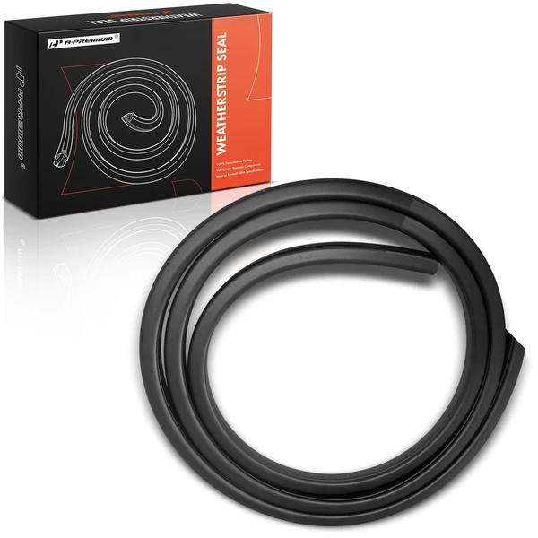 Front Driver Glass Weatherstrip Seal for Nissan Sentra 2013-2019