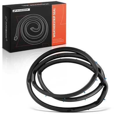 Rear Driver Door Weatherstrip Seal