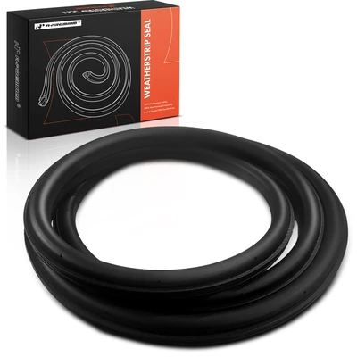 Rear Driver or Passenger Door Weatherstrip Seal