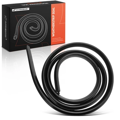 Rear Driver or Passenger Door Weatherstrip Seal