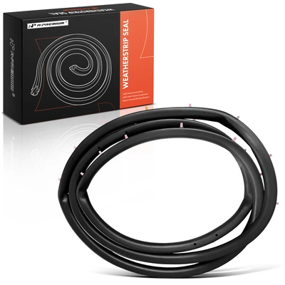 Front Driver Door Weatherstrip Seal with Clips