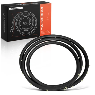 Rear Passenger Door Weatherstrip Seal