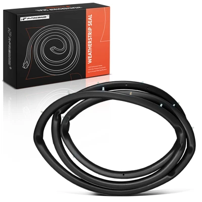 Rear Passenger Door Weatherstrip Seal with Clips